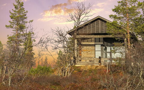 Kiehinen 2: Nature, Branch, Wood, House, Architecture, Cottage, Home, Landscape, Rural Area, Twig