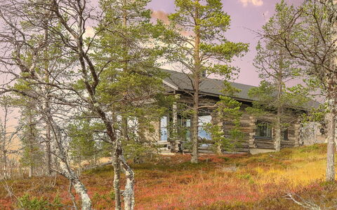 Kiehinen 2: Plant Community, Cottage, Woodland, Log Cabin, Shed, Garden Buildings, Larch, Pine Family