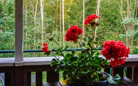 Merimetso 6: Waterway, Bank, Watercourse, Lake, Cottage, Forest, Channel, Reservoir, Log Cabin