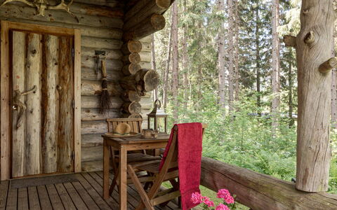 Rinnekämppä: Furniture, Flooring, Interior Design, Wall, Floor, Couch, Wood, Living Room, Wood Flooring, Room