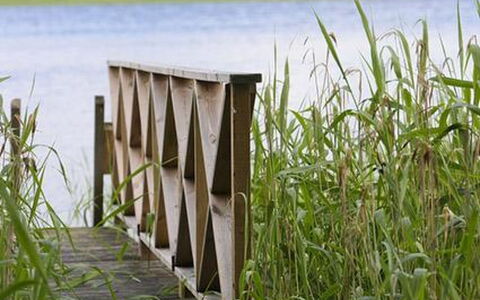 Divaanikivi: Grass, House, Cottage, Land Lot, Home, Estate, Lawn, Siding, Farmhouse, Porch