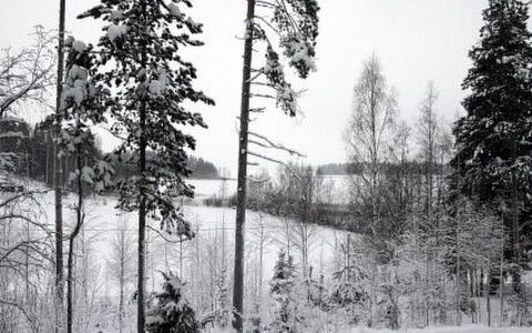 Ylähuone: Tree, Bank, House, Cottage, Lake, Pond, Forest, Log Cabin
