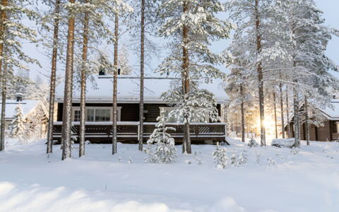 Nurmennunnu: Wood, Snow, Winter, Cottage, Freezing, Home, Log Cabin, Larch, Siding