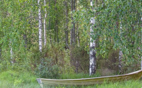 Pilkkaniemi: Cottage, House, Home, Garden Buildings, Siding, Log Cabin, Farmhouse, Estate, Shed, Yard