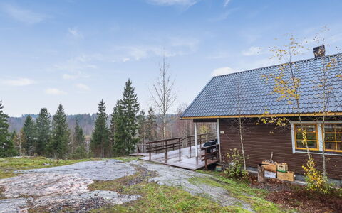 Dominus: Tree, Bank, House, Cottage, Lake, Pond, Forest, Log Cabin