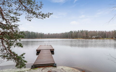 Dominus: Tree, Bank, House, Cottage, Lake, Pond, Forest, Log Cabin