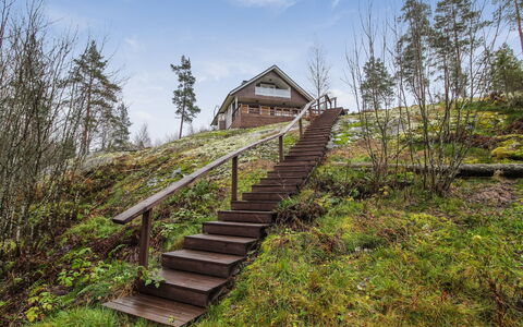 Dominus: Tree, Bank, House, Cottage, Lake, Pond, Forest, Log Cabin