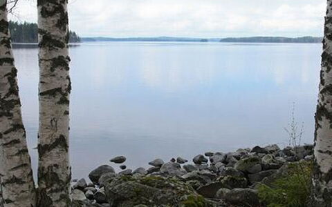 Mäntyniemi: Tree, Bank, House, Cottage, Lake, Pond, Forest, Log Cabin