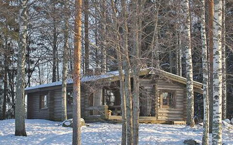Mäntyniemi: Tree, Bank, House, Cottage, Lake, Pond, Forest, Log Cabin