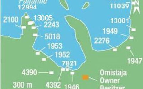 Mäntyniemi: Tree, Bank, House, Cottage, Lake, Pond, Forest, Log Cabin