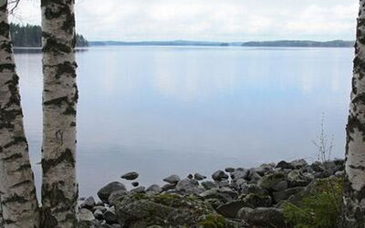 Mäntyniemi