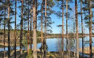 Näätämö
