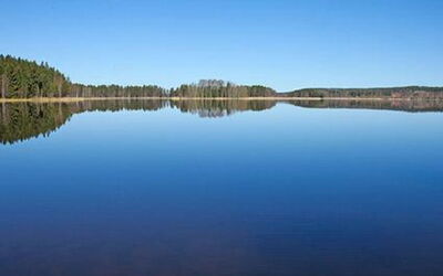 Näätämö