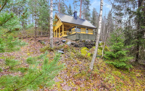 Mirus: Wood, Cottage, Log Cabin, Forest, Shed, Garden Buildings, Larch, Woodland, Wood Stain
