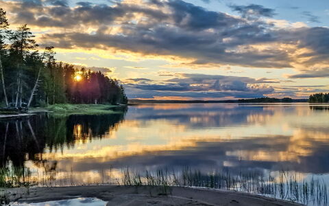 Villa Savonia: Tree, Bank, House, Cottage, Lake, Pond, Forest, Log Cabin