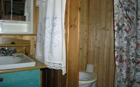 Elsanranta: Wood, Cottage, Log Cabin, Forest, Shed, Garden Buildings, Larch, Woodland, Wood Stain