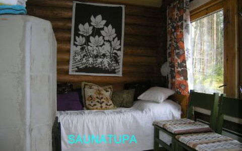 Elsanranta: Wood, Cottage, Log Cabin, Forest, Shed, Garden Buildings, Larch, Woodland, Wood Stain