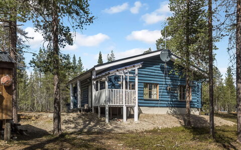 Aurora Cabin: Tree, Wood, Cottage, Roof, House, Siding, Home, Log Cabin, Hut, Woodland