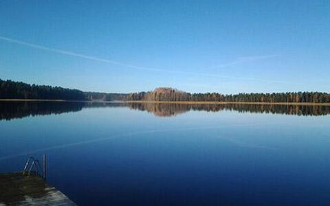 Kopinkallio 3: Tree, Bank, House, Cottage, Lake, Pond, Forest, Log Cabin