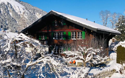 Träumli: Sky, Snow, House, Natural Landscape, Slope, Mountain, Wood, Landscape, Building, Plant