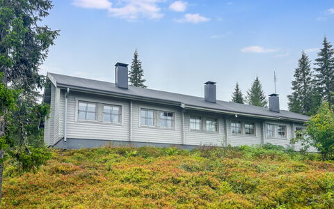 Lupposyöte B1: Cottage, Slope, Larch, Evergreen, Pine Family