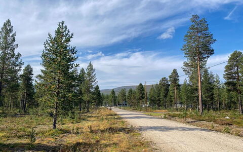 Kuukkeli: Waterway, Bank, Watercourse, Lake, Cottage, Forest, Channel, Reservoir, Log Cabin