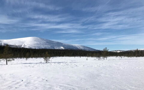 Kuukkeli: Waterway, Bank, Watercourse, Lake, Cottage, Forest, Channel, Reservoir, Log Cabin