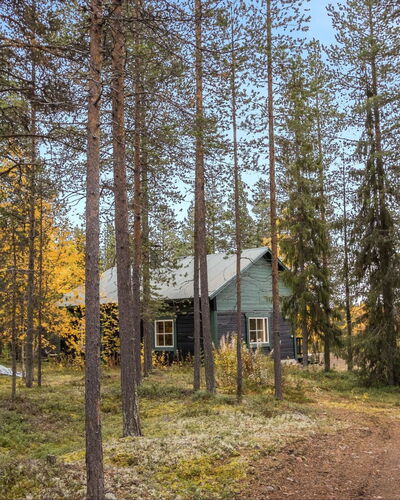 Suvantovirta