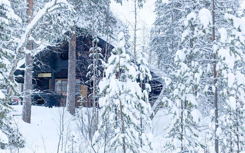 Tievankivi: Waterway, Bank, Watercourse, Lake, Cottage, Forest, Channel, Reservoir, Log Cabin
