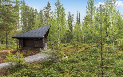 Päivänsäde 8 Lapinkulta