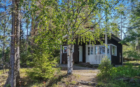 Eräkorven Kelotupa: Tree, Leaf, Natural Environment, Nature, Branch, Vegetation, Cottage, Land Lot, Woodland, Trunk