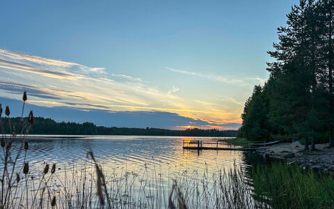Suviranta: Tree, Bank, House, Cottage, Lake, Pond, Forest, Log Cabin