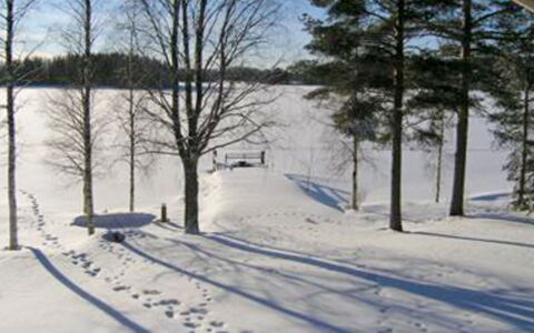 Suviranta: Tree, Bank, House, Cottage, Lake, Pond, Forest, Log Cabin