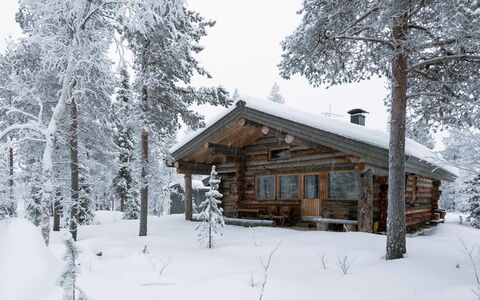 Kelosaajo: Cottage, House, Home, Garden Buildings, Siding, Log Cabin, Farmhouse, Estate, Shed, Yard