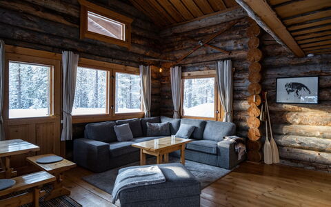 Kelosaajo: Cottage, House, Home, Garden Buildings, Siding, Log Cabin, Farmhouse, Estate, Shed, Yard