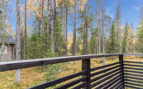 Aurinko-Saga: Wood, Siding, Door, Cottage, Paint, Yard, Sash Window, Garden Buildings, Backyard, Plank