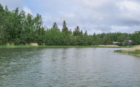 Villa Petra: Wood, Cottage, Log Cabin, Forest, Shed, Garden Buildings, Larch, Woodland, Wood Stain