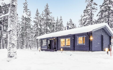 Aarrekammi: Wood, Cottage, Log Cabin, Forest, Shed, Garden Buildings, Larch, Woodland, Wood Stain