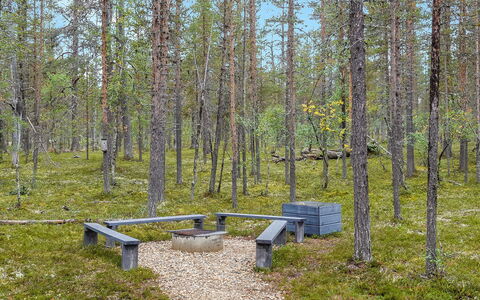 Aarrekammi: Wood, Cottage, Log Cabin, Forest, Shed, Garden Buildings, Larch, Woodland, Wood Stain