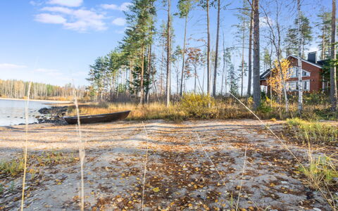 Telkkä: Wood, Cottage, Log Cabin, Forest, Shed, Garden Buildings, Larch, Woodland, Wood Stain
