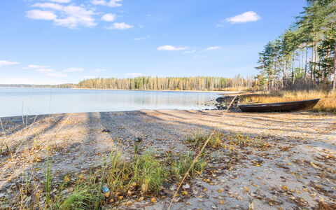 Telkkä: Wood, Cottage, Log Cabin, Forest, Shed, Garden Buildings, Larch, Woodland, Wood Stain