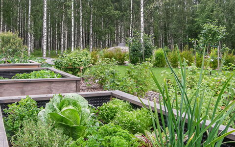 Villa Paasirinne a: Cottage, House, Home, Garden Buildings, Siding, Log Cabin, Farmhouse, Estate, Shed, Yard