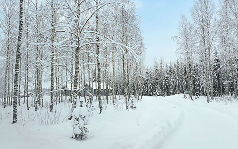 Villa Paasirinne a: Cottage, House, Home, Garden Buildings, Siding, Log Cabin, Farmhouse, Estate, Shed, Yard