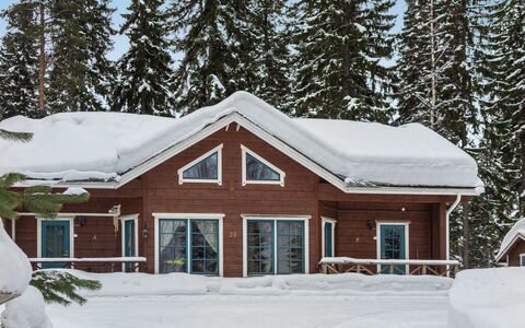 Rentotahko: Tree, Bank, House, Cottage, Lake, Pond, Forest, Log Cabin