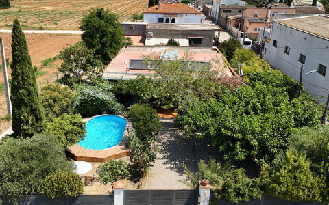 Ave de Paso: Plant, Property, Building, Window, Tree, Vegetation, Urban Design, Biome, Neighbourhood, Landscape