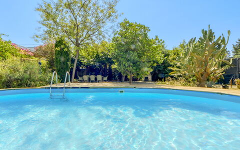 Ave de Paso: Water, Plant, Sky, Property, Azure, Swimming Pool, Tree, Natural Landscape, Shade, Body Of Water