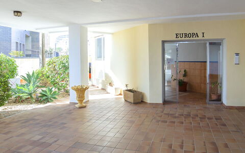 Europa i: Plant, Property, Flowerpot, Houseplant, Building, Window, Interior Design, Wood