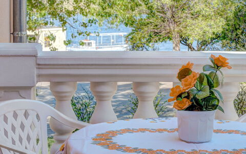 Branko: Flower, Plant, Property, Furniture, Azure, Green, Flowerpot, Decoration, Outdoor Furniture, Interior Design