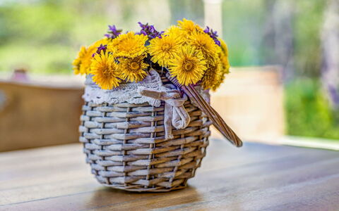 Plitvice Ii: Yellow, Flower, Cut Flowers, Vase, Flowerpot, Plant, Wildflower, Floral Design, Bouquet