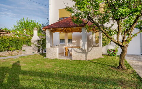 Marina: Plant, Building, Sky, Window, Tree, Land Lot, House, Grass, Cloud, Residential Area